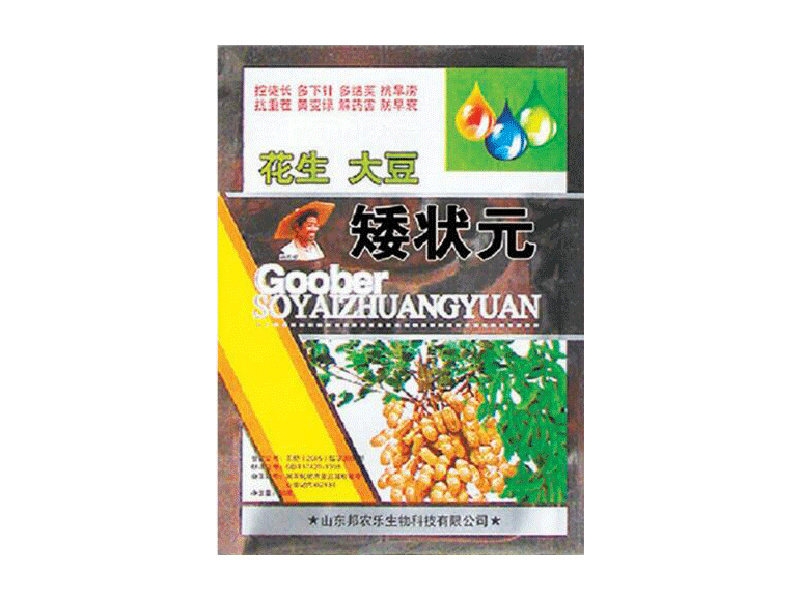 矮狀元