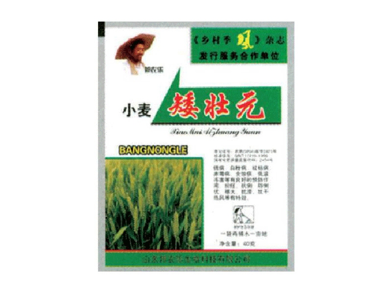 矮狀元