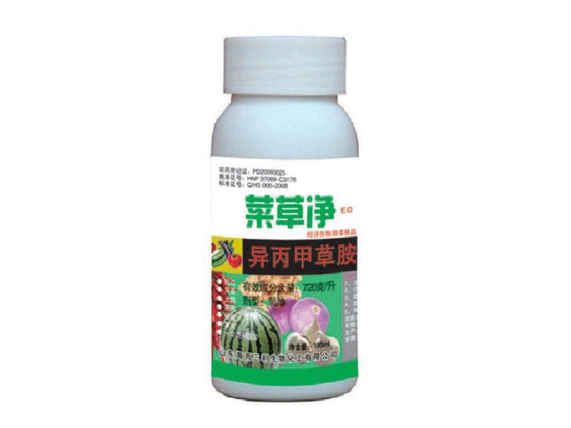 菜草凈