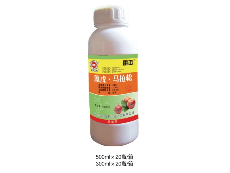 青戊.馬拉松