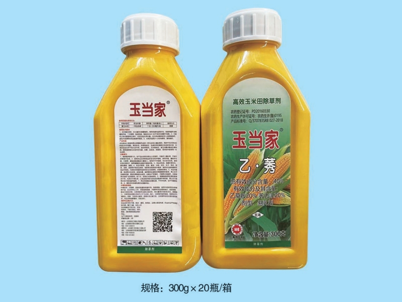 玉當家