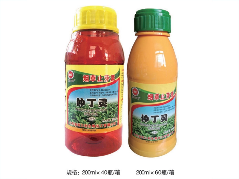 仲丁靈
